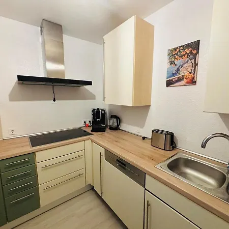 公寓 Spacious 72 Sqm Moselblick & Connection