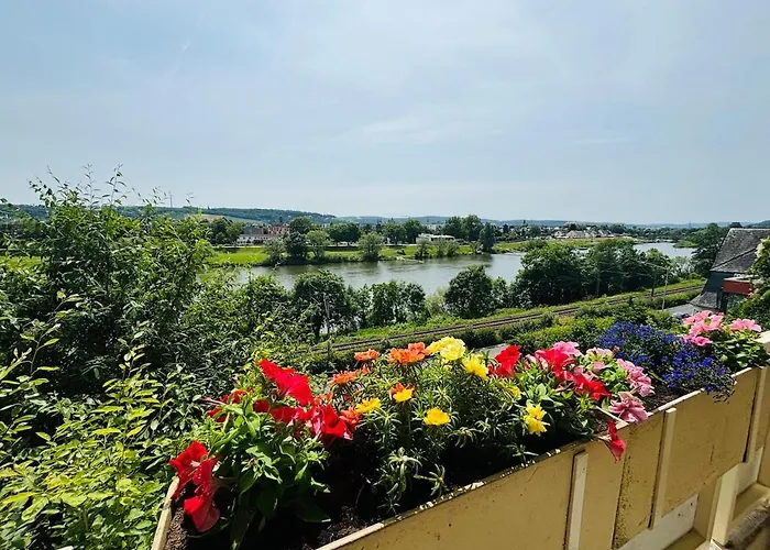 Spacious 72 Sqm Moselblick & Connection Lejlighed